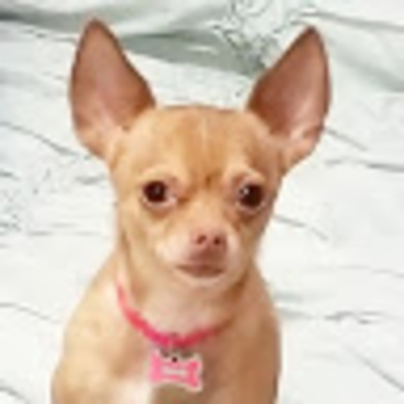 Meet your Posher, Lorena - Picture 1 of 1